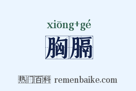 胸膈是什么意思的图片